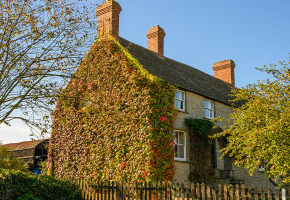modern home extension with outdoor seating and large windows showcasing dining area and garden plants four season living space